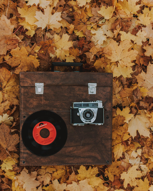 On the Go: Essential Features to Look for in a Vinyl Record Carrying Case